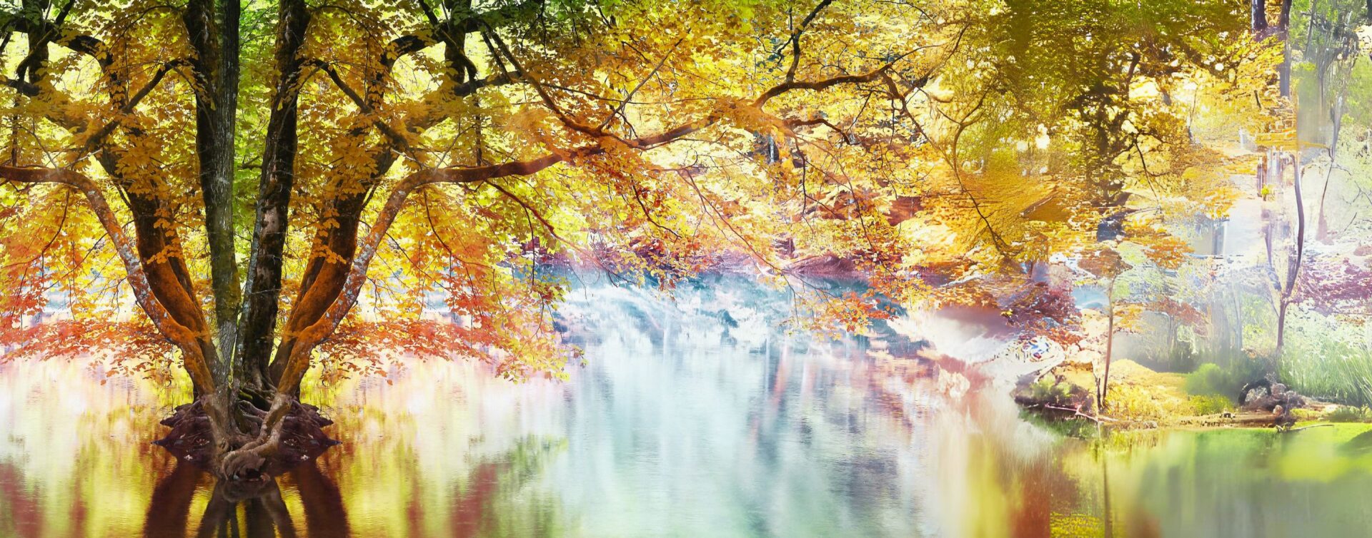 Decorative Image